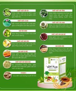 Thành-phần-của-kẹo-giảm-cân-sâm-plus-detox-x1000